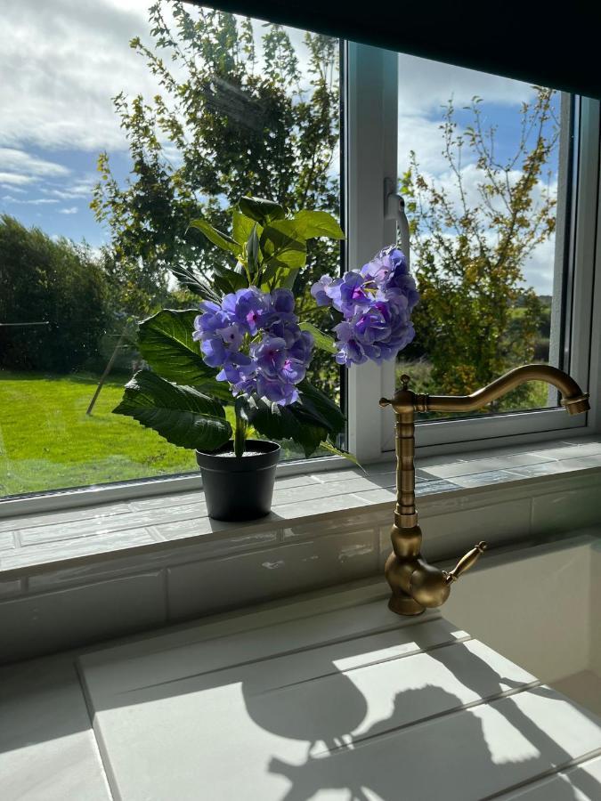 Butterfly Guesthouse - Entire Home Within 5Km Of Galway City Esterno foto