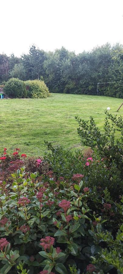 Butterfly Guesthouse - Entire Home Within 5Km Of Galway City Esterno foto