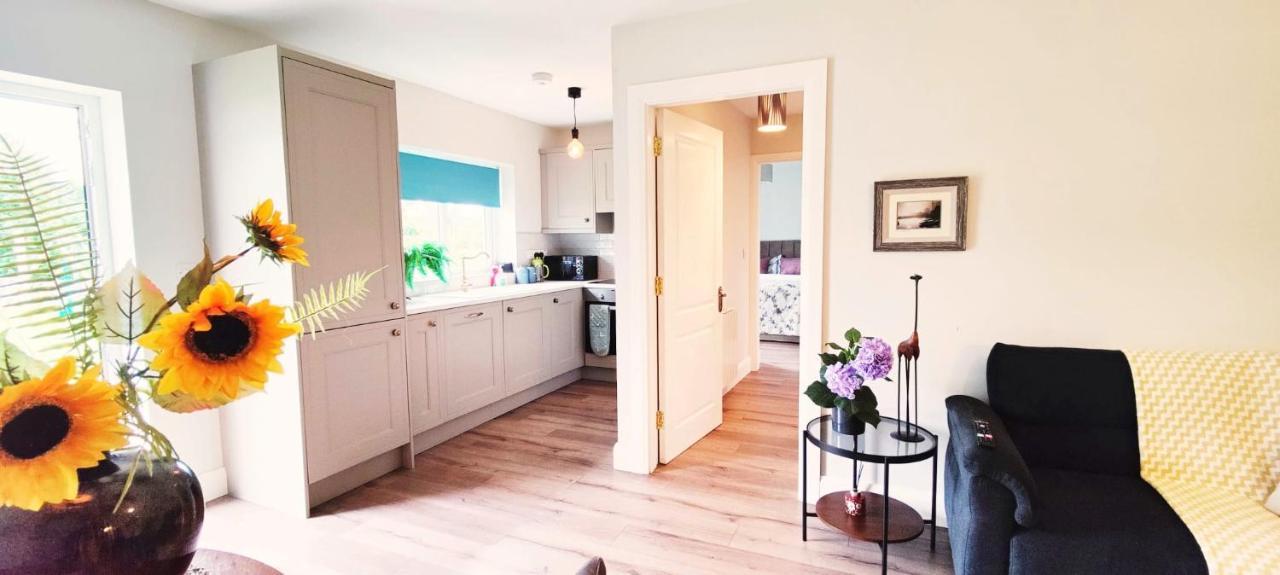 Butterfly Guesthouse - Entire Home Within 5Km Of Galway City Esterno foto